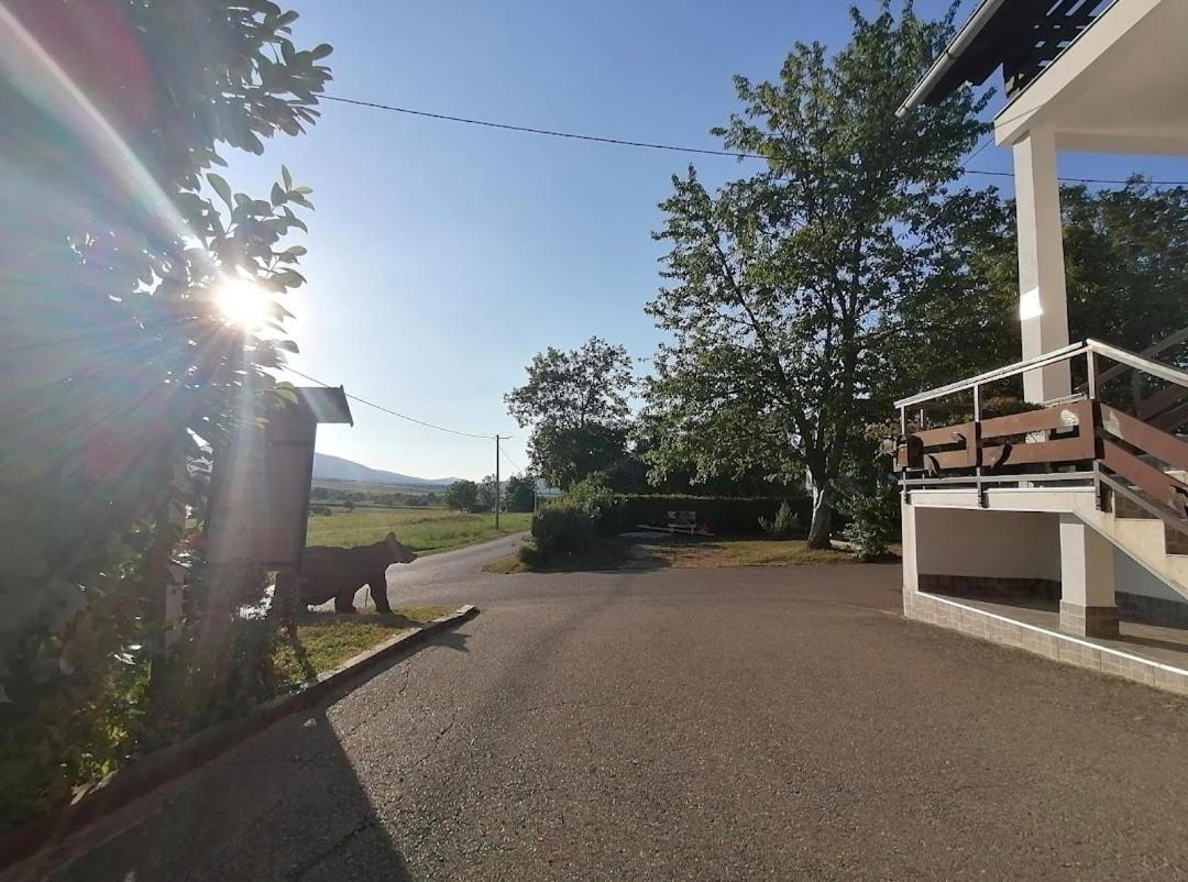 Apartments Luka ラコヴィツァ エクステリア 写真