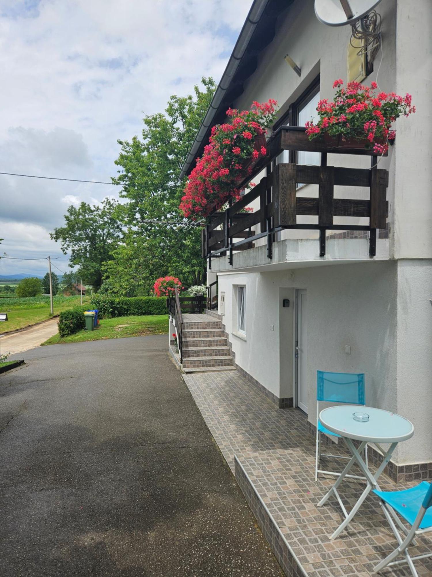 Apartments Luka ラコヴィツァ エクステリア 写真