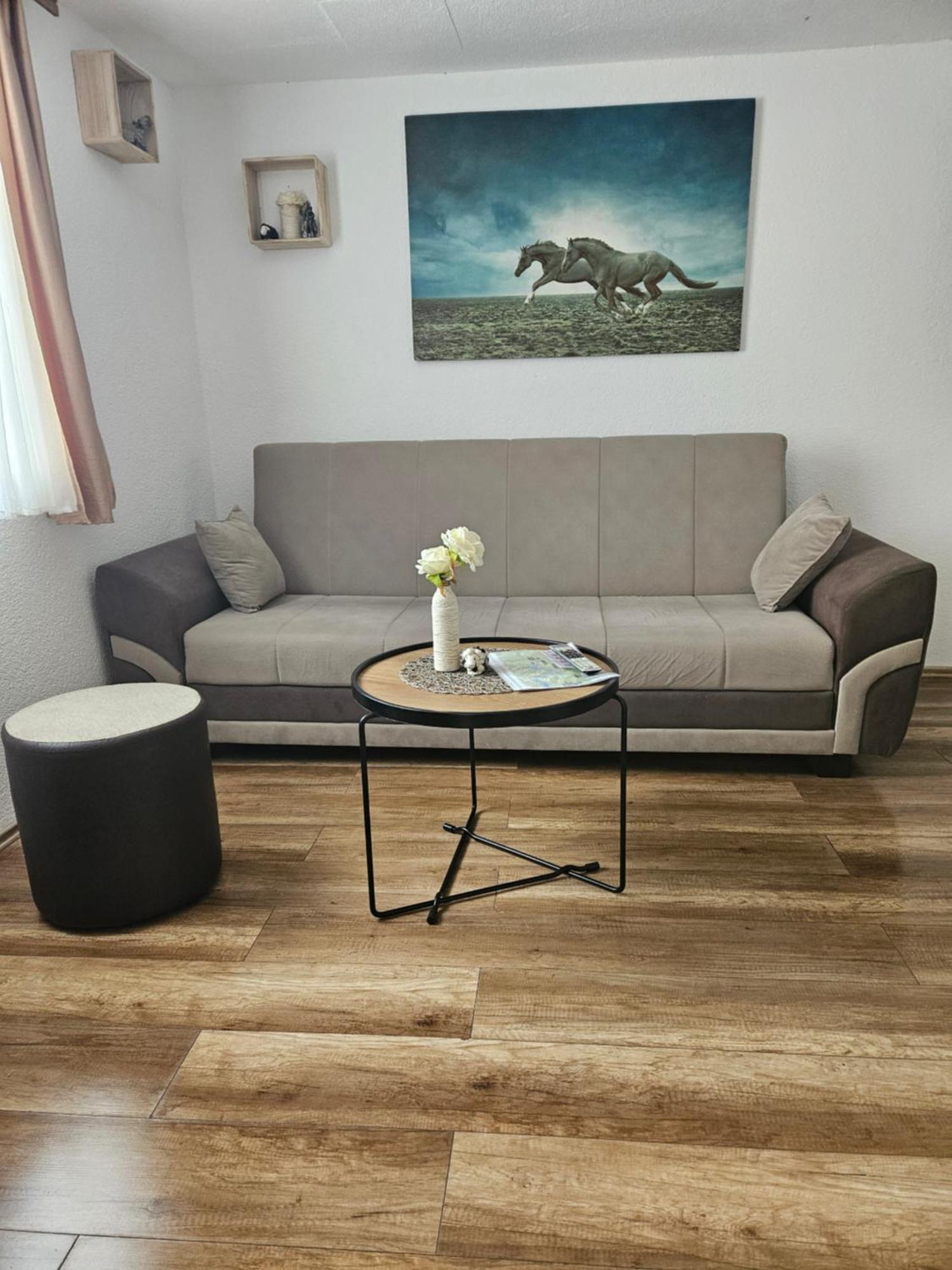 Apartments Luka ラコヴィツァ エクステリア 写真